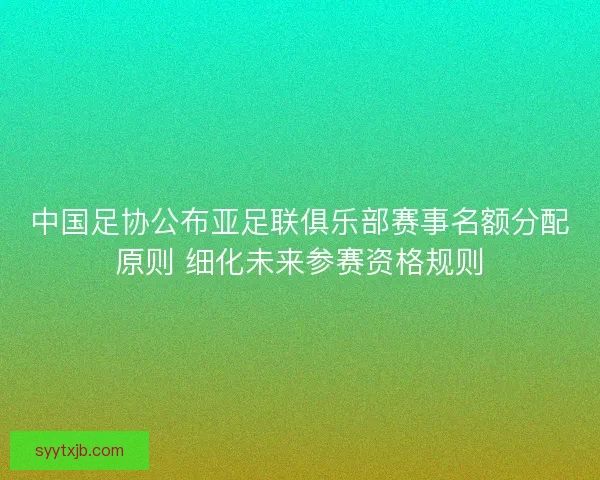 中国足协公布亚足联俱乐部赛事名额分配原则 细化未来参赛资格规则 中国足协公布亚足联俱乐部赛事名额分配原则 细化未来参赛资格规则